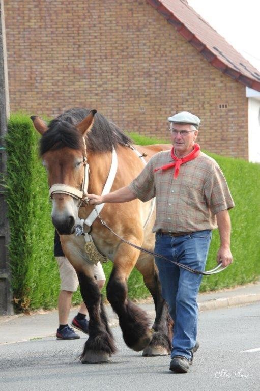 Fete de la moisson 2024 11 