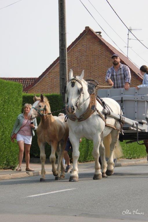 Fete de la moisson 2024 28 